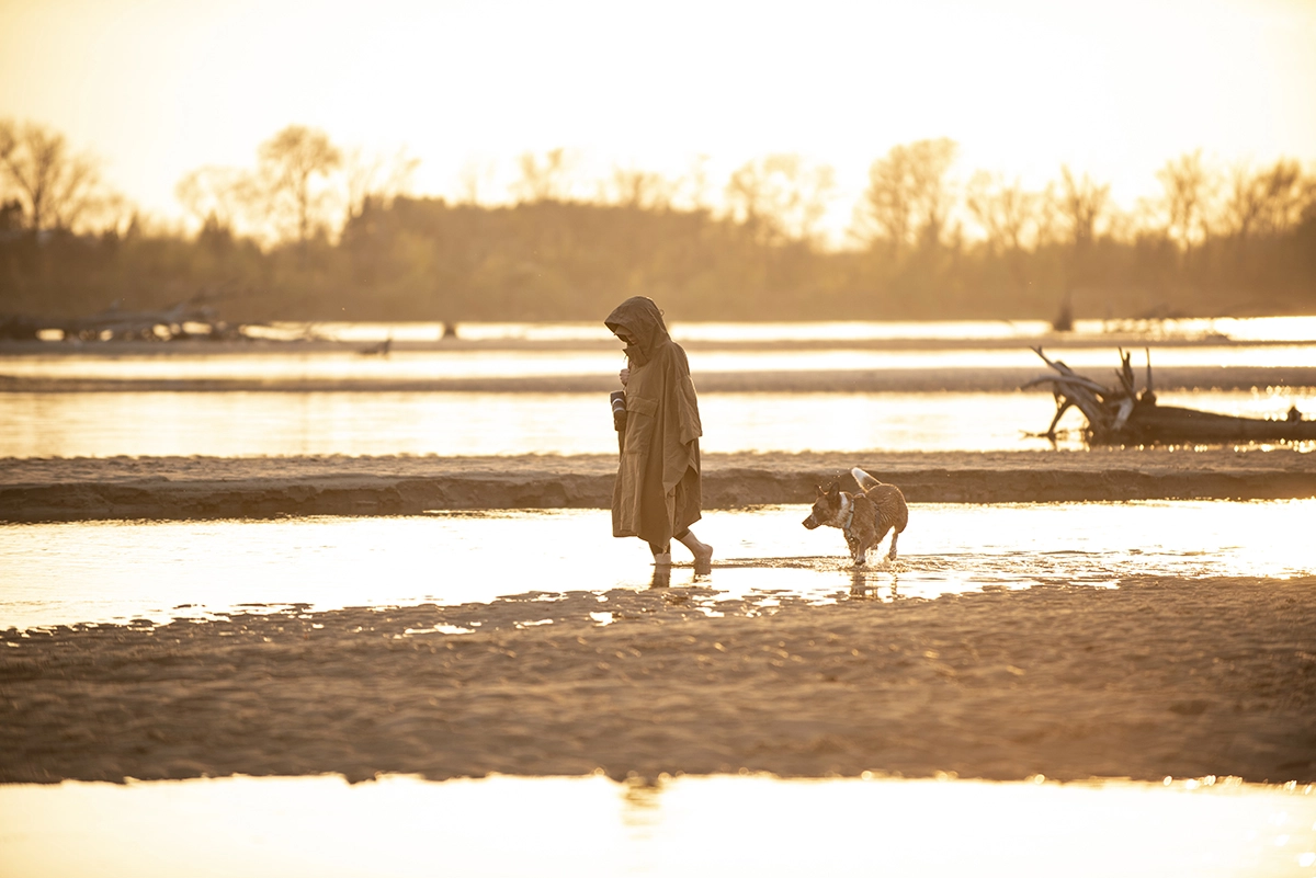 outdoor-photography-sunset-landscape-dog-walking-poncho-coyote