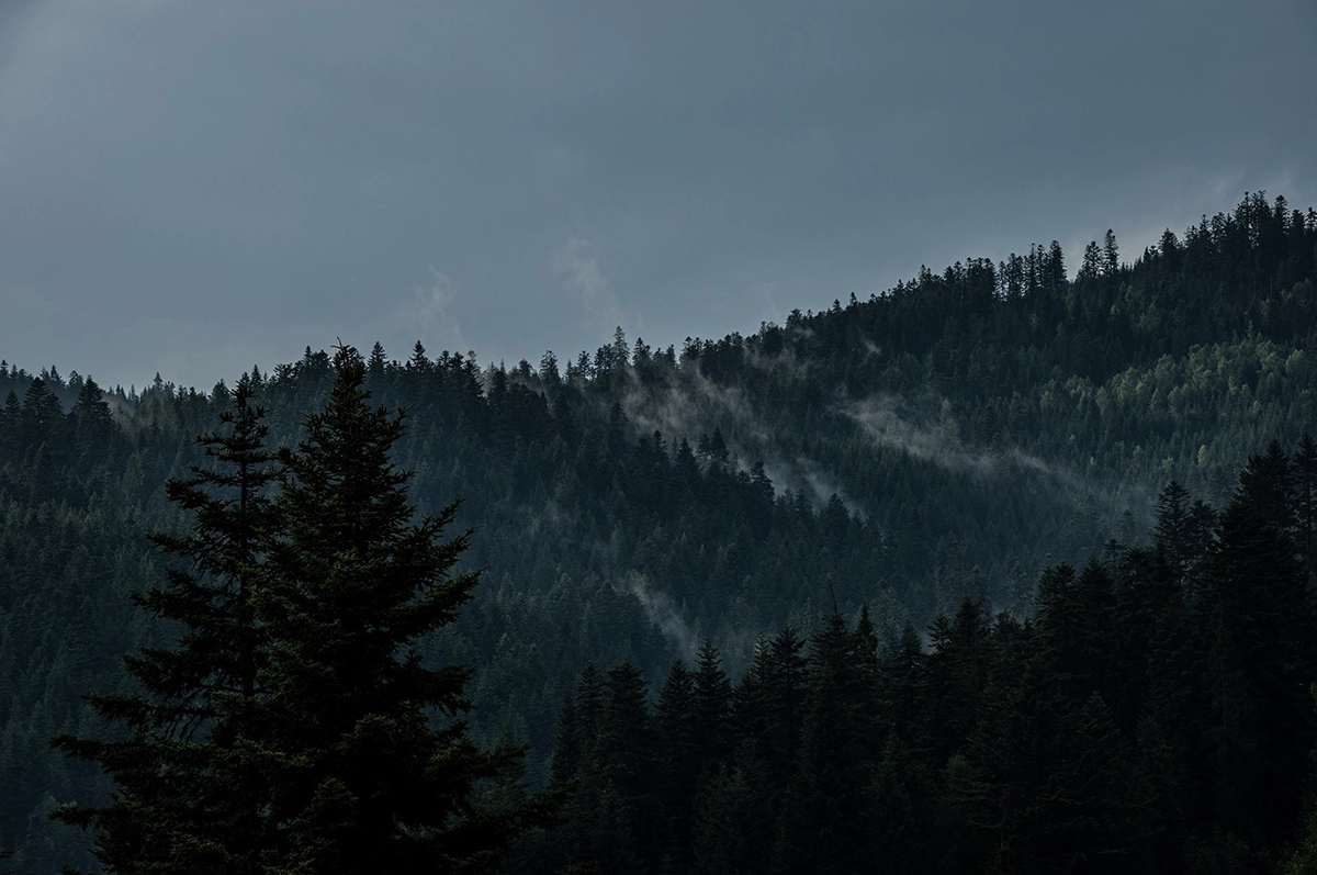 landscape-photography-mountains-forest-view-poland