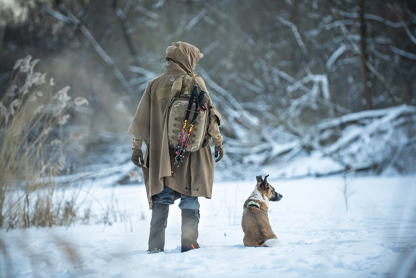 outdoor-photography-dog-friends-winter-frozen-lake-poland
